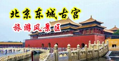 操逼视频免费观看入口中国北京-东城古宫旅游风景区